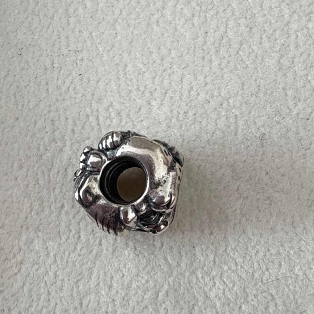 Pandora African Safari Silver Textured charm - Picture 6 of 6